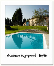 Bed and breakfast with swimming pool - Lucca countryside