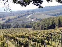 Cooking tours in Chianti