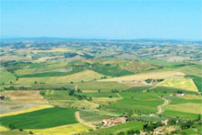 countryside from Montalcino