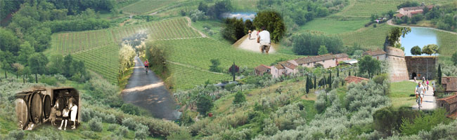 bike and wine tour in Lucca countryside