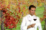 WINE TOURS guided by a licensed WINE TASTER