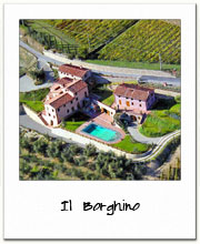 Il Borghino - Villa in the Lucca countryside between olive groves and vineyards