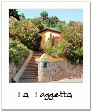 La Loggetta - panoramic rustic detached house rental in Lucca countryside