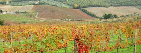 Chianti wineries - wine tours