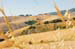 tuscany-countryside18