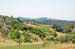 tuscany-countryside5